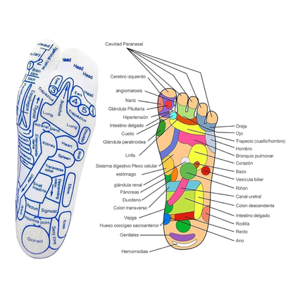 VitaltPress Calcetines de Bienestar Corporal